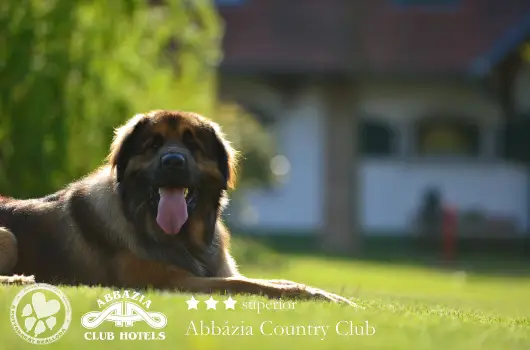 Abb�zia Country Club - M�rcius 15. (min. 2 �j)