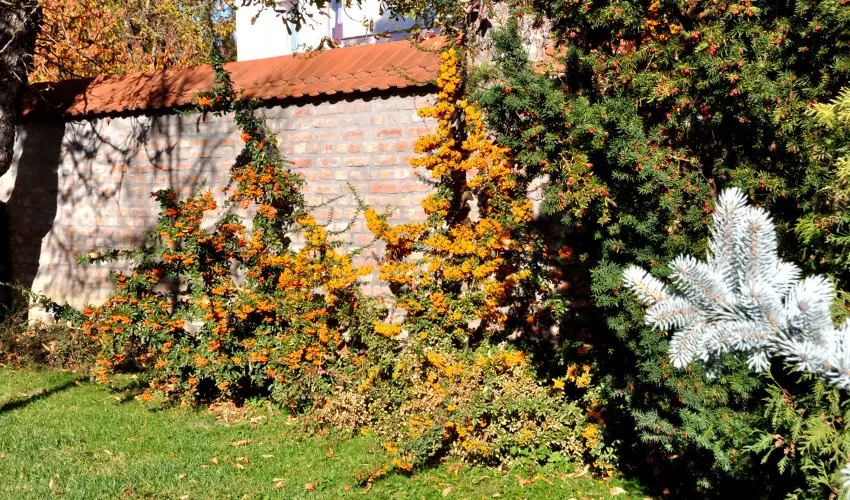 Ametiszt Hotel Hark�ny - M�rcius 15.  (min. 3 �j)