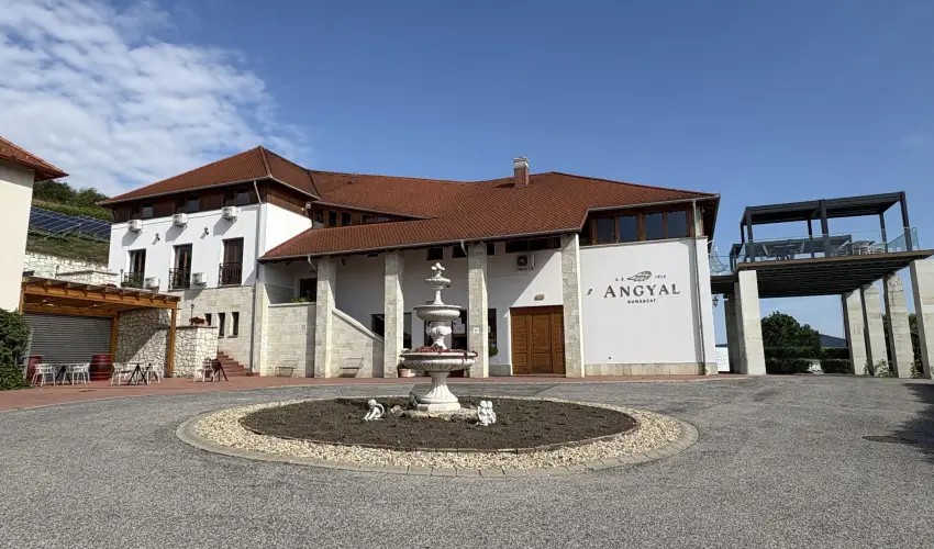 Angyal Bor�szat R�tka - M�rcius 15. (min. 2 �j)
