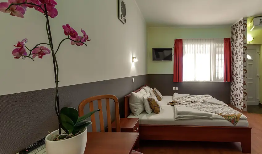 Aranypatk� Panzi� Gy�r�jbar�t - M�rcius 15.