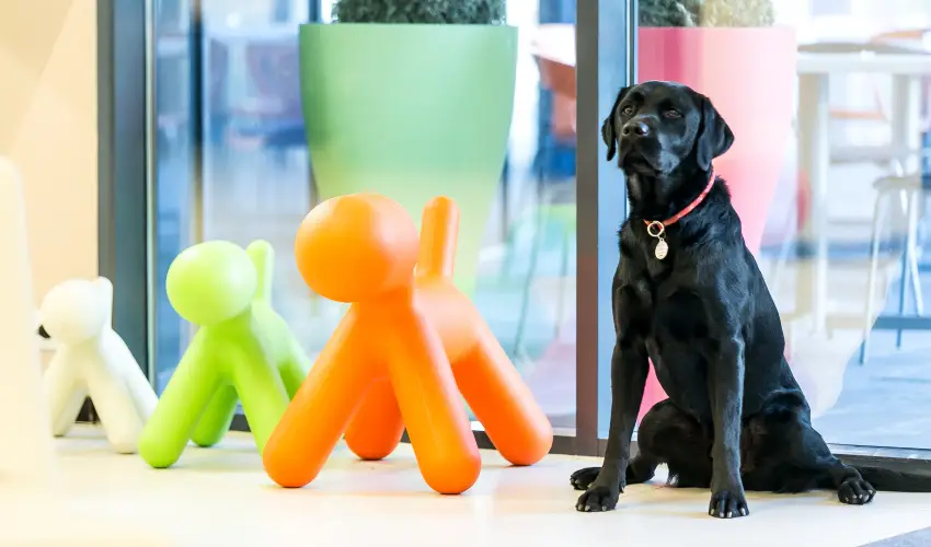 Art Hotel Szeged Szeged - M�rcius 15. 