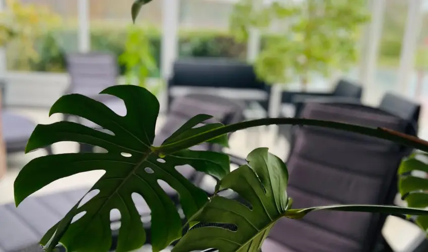 Art Hotel Zalakaros - M�rcius 15. 