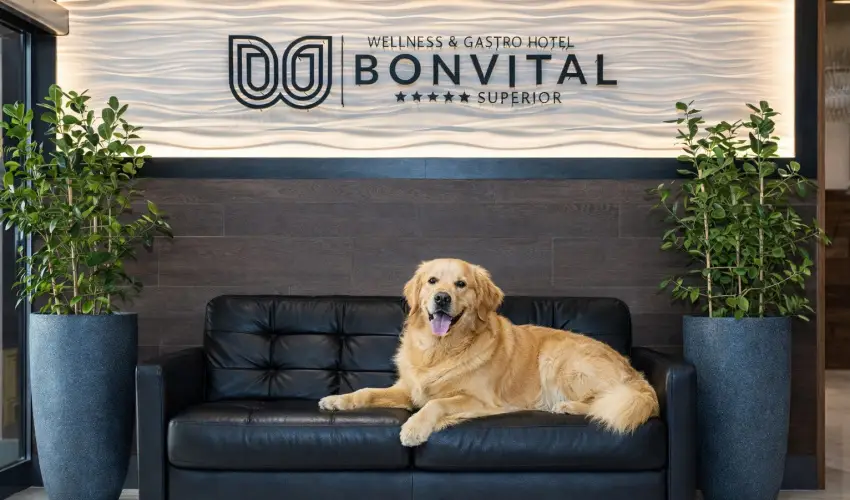 Bonvital Wellness & Gastro Hotel H�v�z H�v�z - M�rcius 15. (min. 2 �j)