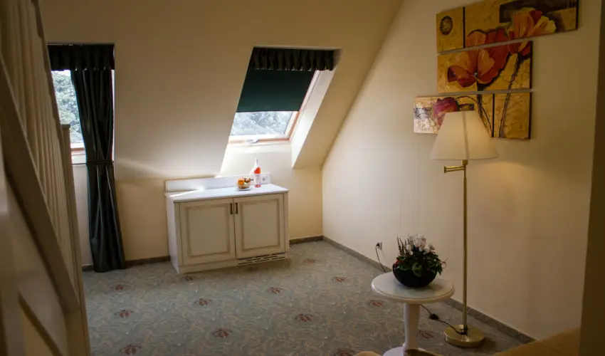 Calimbra Konferencia & Wellness Hotel Miskolctapolca - M�rcius 15-e �nnep �s wellness