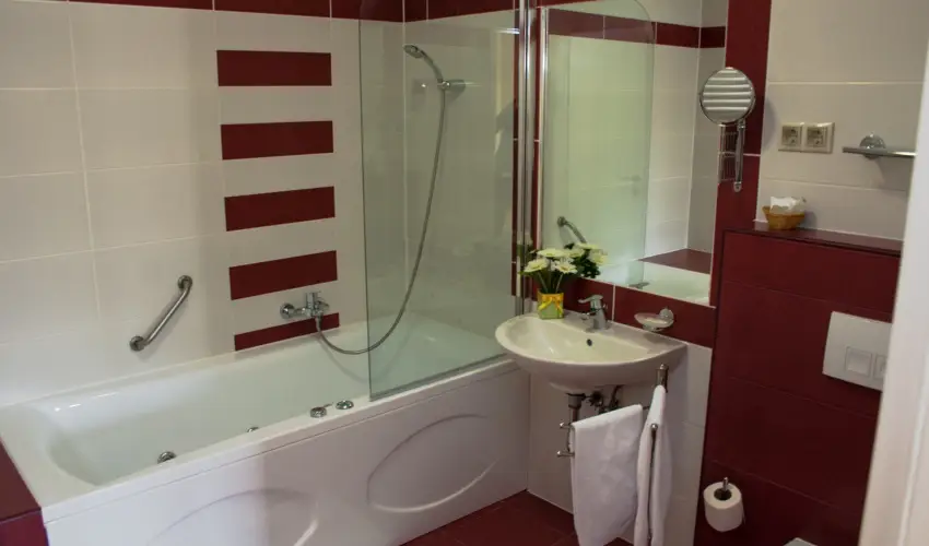 Calimbra Konferencia & Wellness Hotel Miskolctapolca - M�rcius 15-e �nnep �s wellness