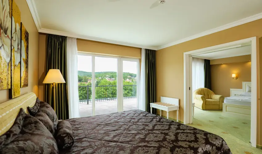 Calimbra Konferencia & Wellness Hotel Miskolctapolca - M�rcius 15-e �nnep �s wellness