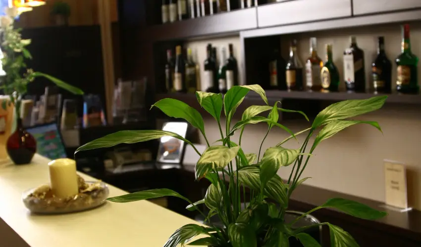 Central Hotel 21 Budapest - M�rcius 15. - teljes el�refizet�ssel (min. 2 �j)