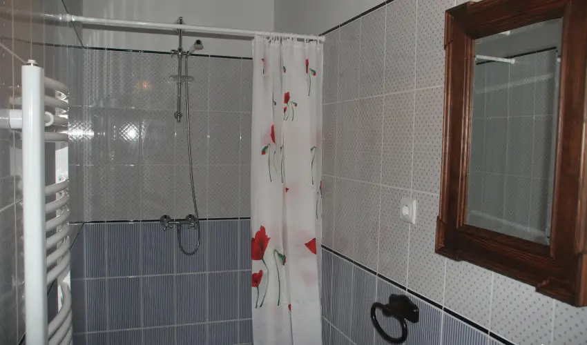 Czir�ka Vend�gh�z Tolcsva - M�rcius 15.  (min. 2 �j)