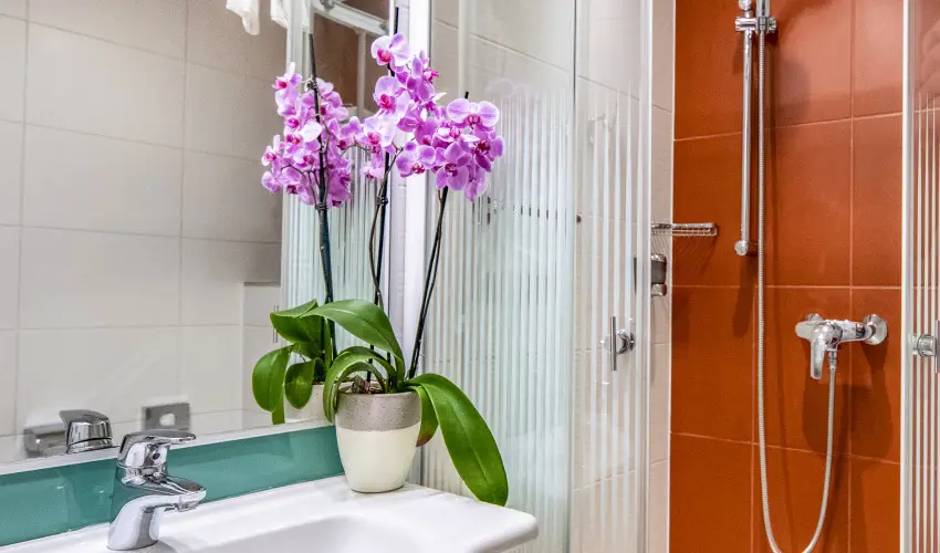 Dr�va Hotel Thermal Resort Hark�ny - M�rcius 15.