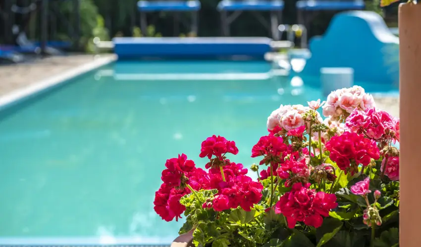 Duna Relax Hotel R�ckeve - M�rcius 15. (min. 2 �j)