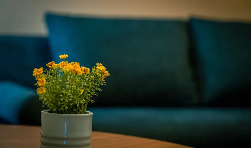 Eleven Business & Sport Hotel J�sz�roksz�ll�s - M�rcius 15. 