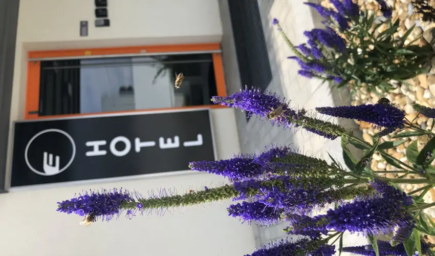 Eleven Business & Sport Hotel J�sz�roksz�ll�s - M�rcius 15. 