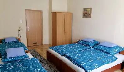 �lm�ny Vend�gh�z Csurg�