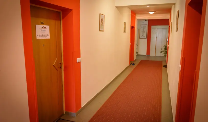 Erika Apartman S�rv�r - M�rcius 15.  (min. 3 �j)