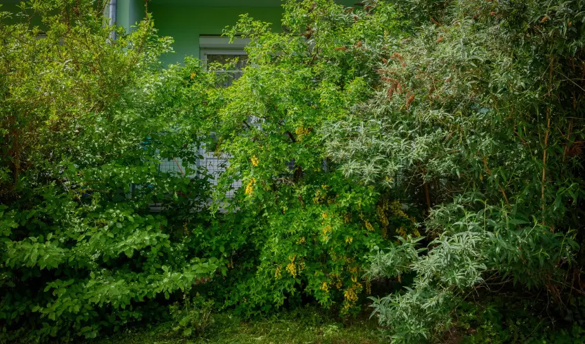 Erika Apartman S�rv�r - M�rcius 15.  (min. 3 �j)