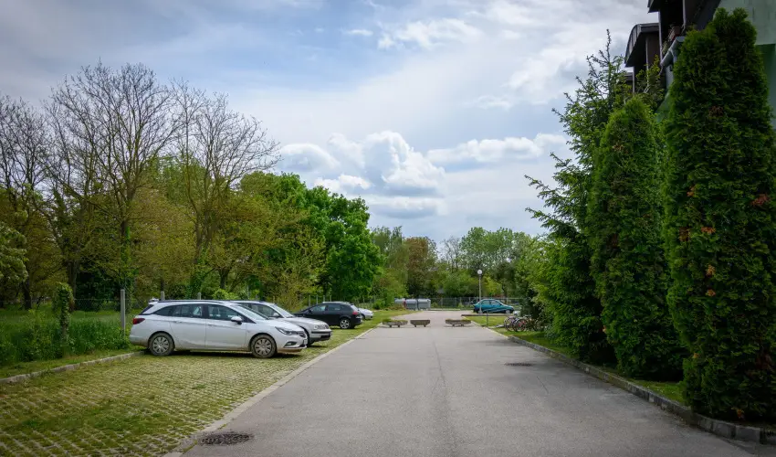 Erika Apartman S�rv�r - M�rcius 15.  (min. 3 �j)