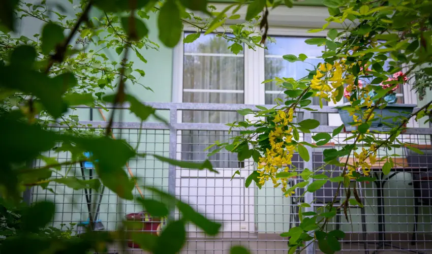 Erika Apartman S�rv�r - M�rcius 15.  (min. 3 �j)