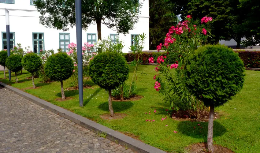Erzs�bet Nagy Sz�lloda Paks - M�rcius 15.