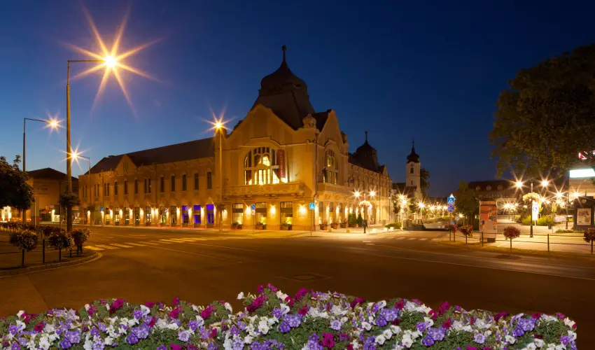 Erzs�bet Kir�lyn� Sz�lloda G�d�ll� - M�rcius 15. 