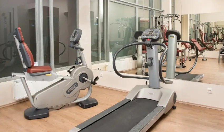 Erzs�bet Kir�lyn� Sz�lloda G�d�ll� - M�rcius 15. 