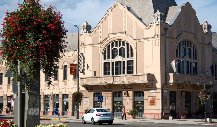 Erzs�bet Kir�lyn� Sz�lloda G�d�ll� - M�rcius 15. 