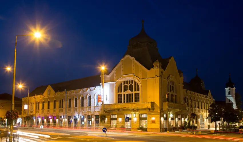 Erzs�bet Kir�lyn� Sz�lloda G�d�ll� - M�rcius 15. 