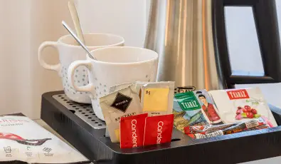 Erzs�bet Kir�lyn� Sz�lloda G�d�ll�