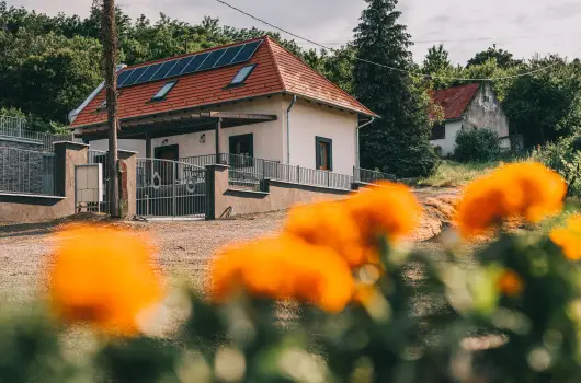 FATA Birtok Vend�gh�z - M�rcius 15.