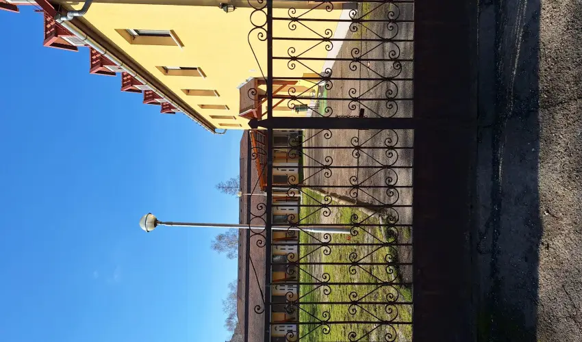 Feny� Panzi� Mez�k�vesd - M�rcius 15. 