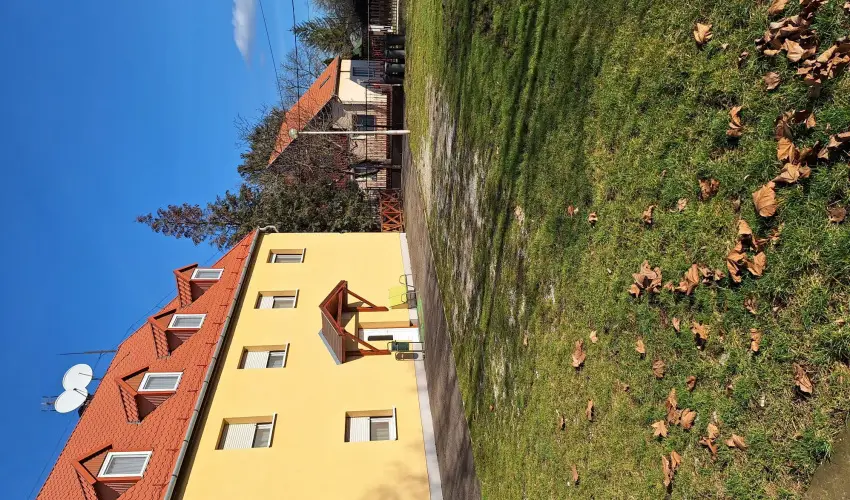 Feny� Panzi� Mez�k�vesd - M�rcius 15. 