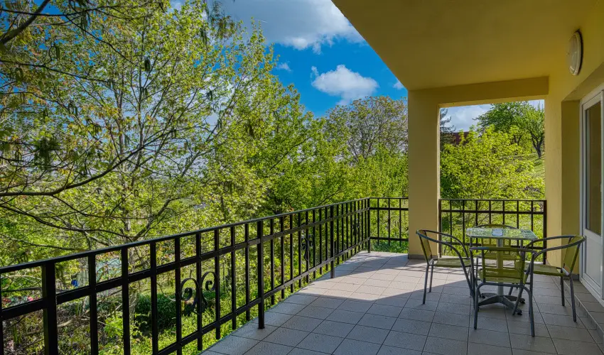 Fried Kast�ly Hotel Simontornya - M�rcius 15.  - teljes el�refizet�ssel (min. 2 �j)