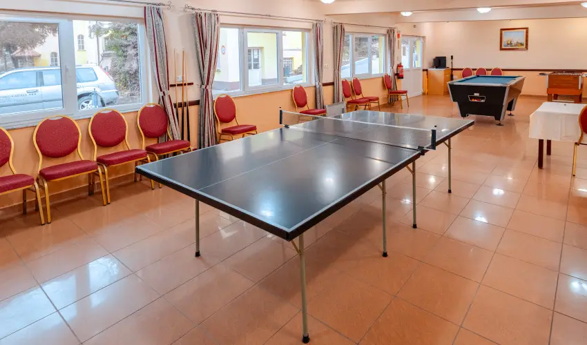 Fried Kast�ly Hotel Simontornya - M�rcius 15.  - teljes el�refizet�ssel (min. 2 �j)