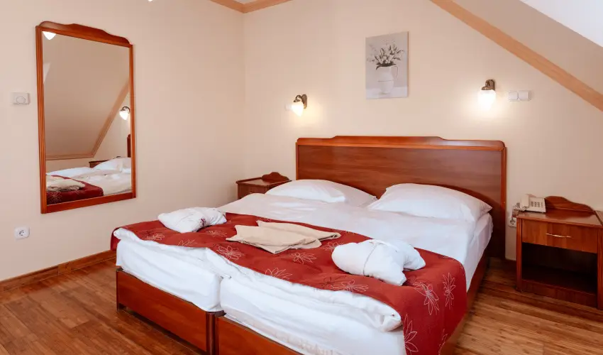 Fried Kast�ly Hotel Simontornya - M�rcius 15.  - teljes el�refizet�ssel (min. 2 �j)