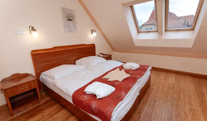Fried Kast�ly Hotel Simontornya - M�rcius 15.  - teljes el�refizet�ssel (min. 2 �j)
