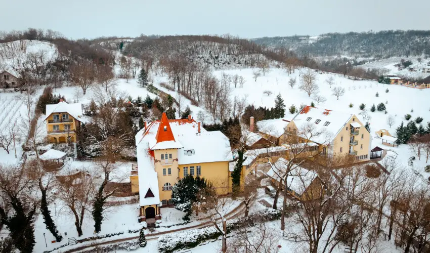 Fried Kast�ly Hotel Simontornya - M�rcius 15.  - teljes el�refizet�ssel (min. 2 �j)