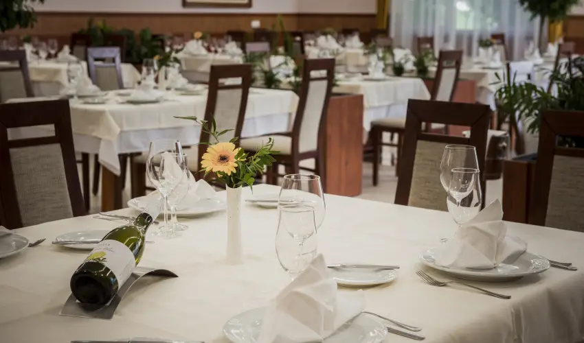 Garden Hotel Wellness & Konferencia Szolnok - M�rcius 15. 