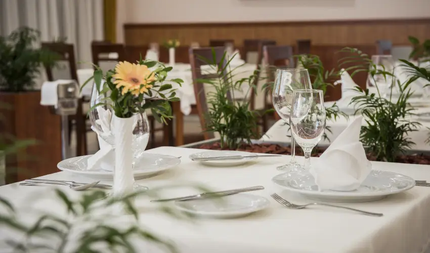 Garden Hotel Wellness & Konferencia Szolnok - M�rcius 15. 