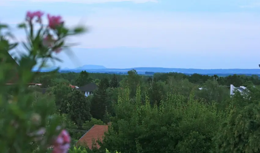 Mese Panzi� Zalakaros - M�rcius 15. 