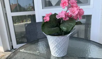 Mese Panzi� Zalakaros