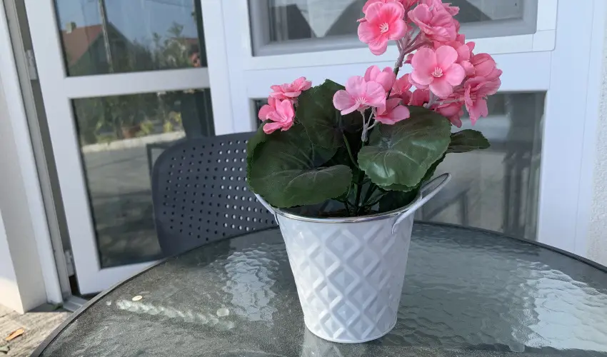 Mese Panzi� Zalakaros - M�rcius 15. 