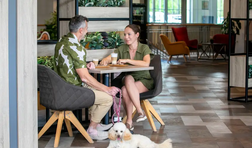 Gotthard Therme Hotel & Conference Szentgotth�rd - M�rcius 15.  (min. 2 �j)