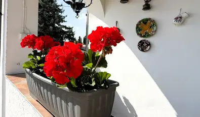 Harmony Vend�gh�z Egerszal�k