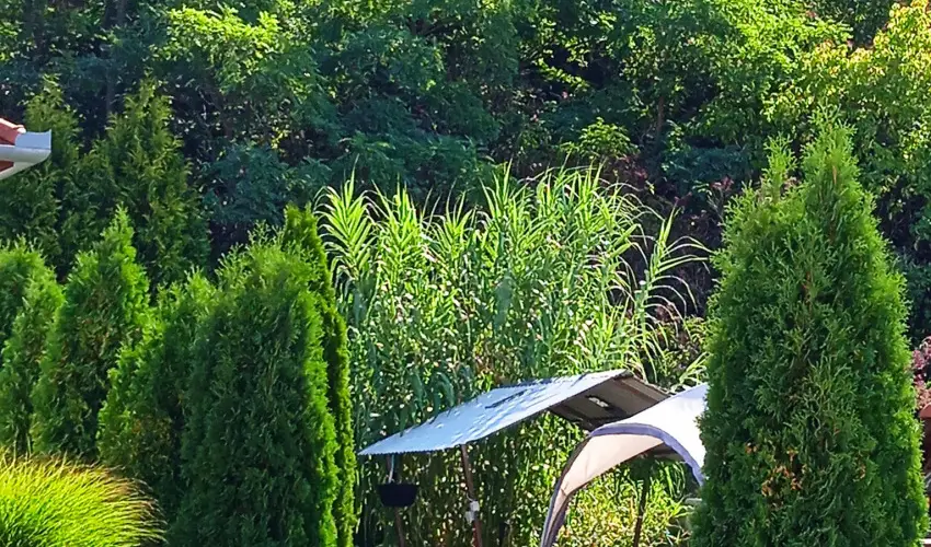 Harmony Vend�gh�z Egerszal�k - M�rcius 15. (min. 2 �j)