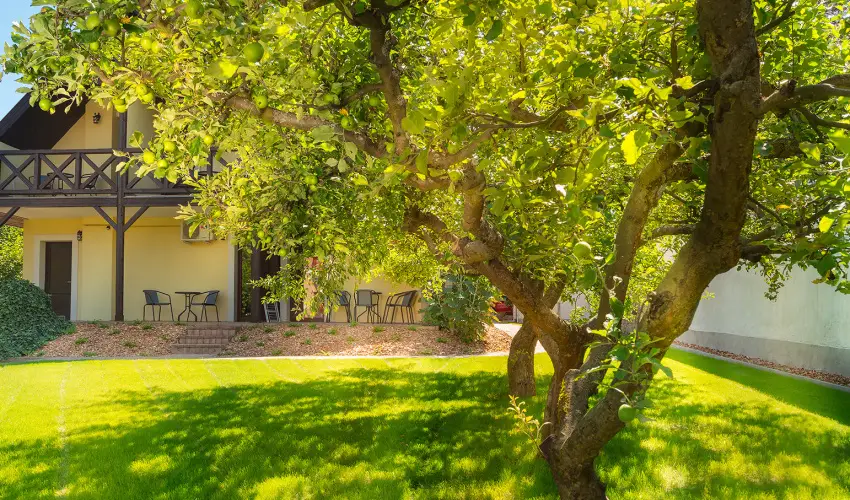 Honti Panzi� Visegr�d - M�rcius 15. (min. 2 �j)