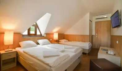 Honti Panzi� Visegr�d