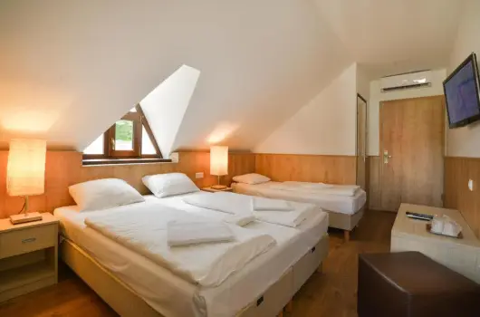 Honti Panzi� - M�rcius 15. (min. 2 �j)