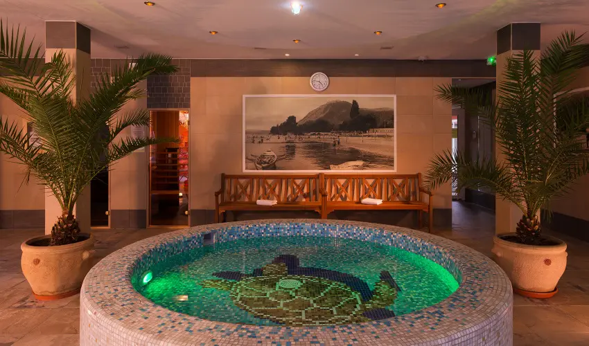 Honti Panzi� Visegr�d - M�rcius 15. (min. 2 �j)