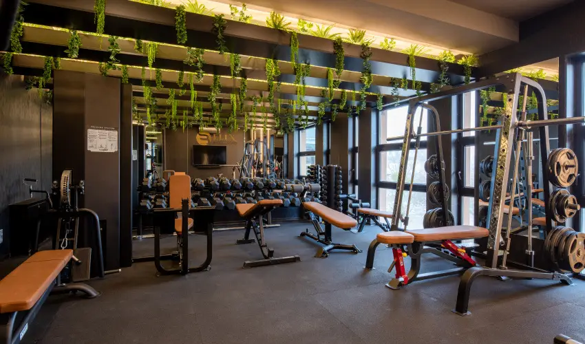 Hotel Bodrog Wellness & Elix Spa S�rospatak - M�rcius 15. - teljes el�refizet�ssel (min. 2 �j)