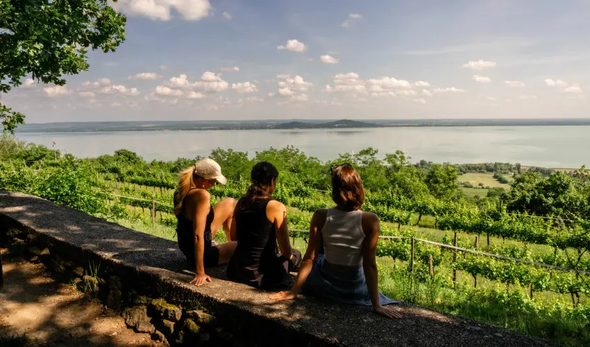 Hotel Bonvino Wine & Spa Badacsony - M�rcius 15. (min. 3 �j)