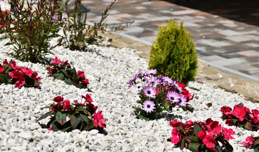 Hotel Forr�s Zalakaros Zalakaros - M�rcius 15.